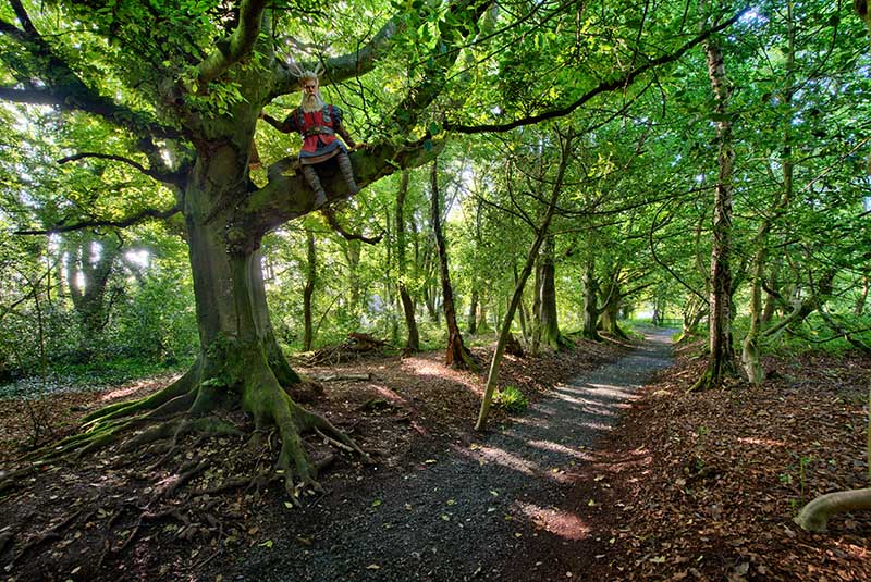 #87  Lullymore Forest - CO. KILDARE