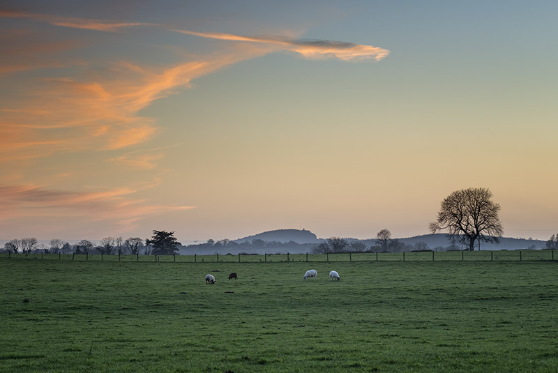 #117  Hill Of Allen Sunset - CO. KILDARE