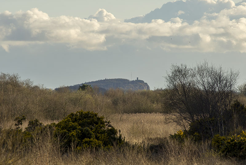 #61  The Hill of Allen I - CO. KILDARE