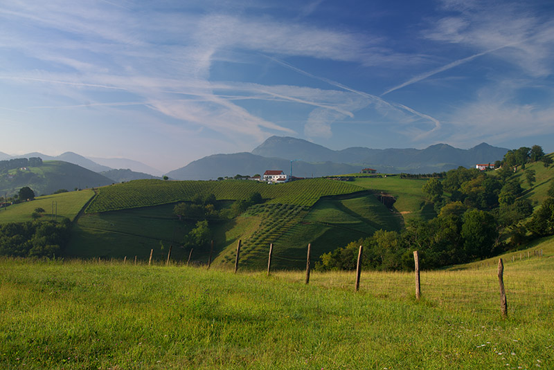 Basque Country, Camino del Norte, Pays Basque, Spain - TRAVEL