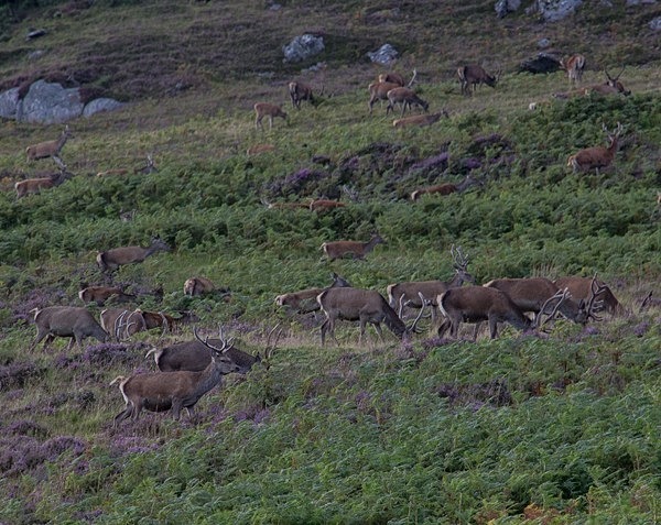 Scotland 2017 - miscellaneous