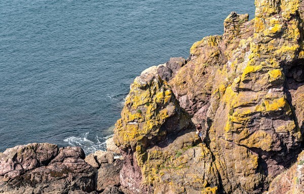 Berick Upon Tweed - Landscapes