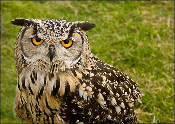 a lovely lady - miscellaneous