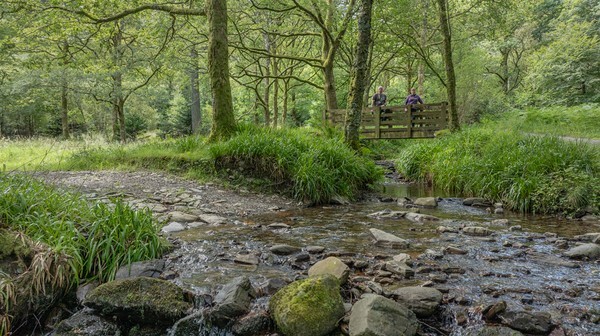 Loweswater - Landscapes