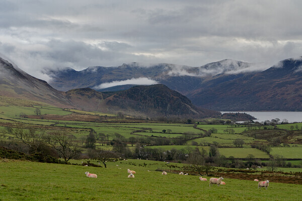 Loweswater - Landscapes
