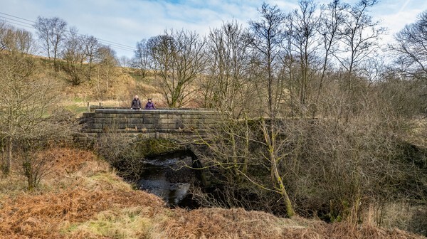 Belmont - Landscapes