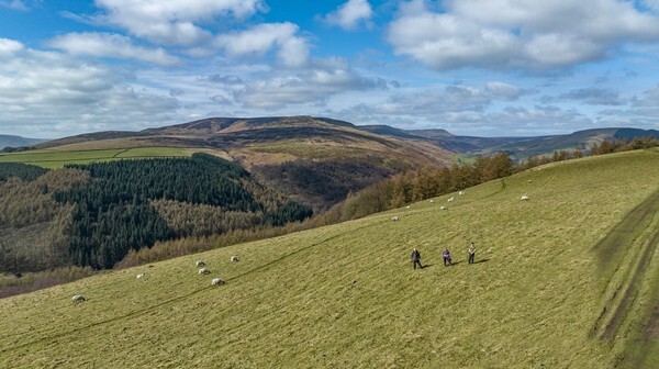Derwent - Landscapes
