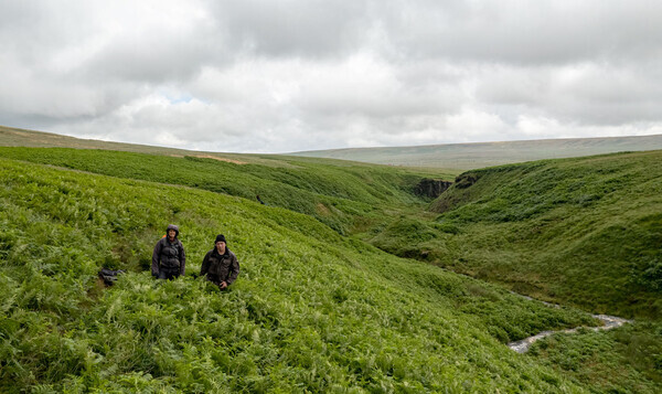 Green Withens - Landscapes