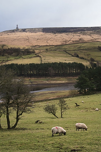 Landscape Photography landscape moorland m62 dovestone canon 100d nature saddleworth moor isle of man obolisk landscape photography peter costello