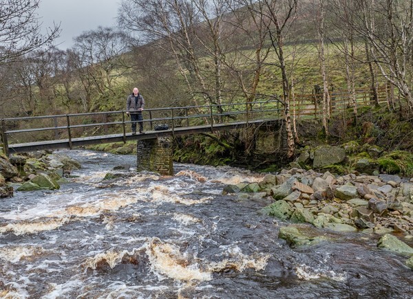 Snake Road - Landscapes