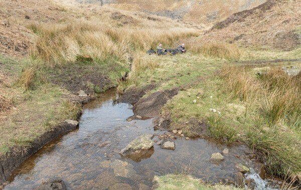 Snake Rd - Landscapes