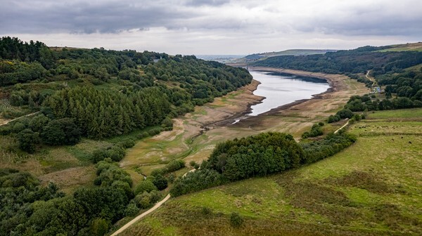 Scamonden Res - Landscapes