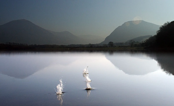Holmewood Bothy Loweswater Cumbria National Trust Holmewood Petercostellophotography.com lake district Bothys Watergate Farm