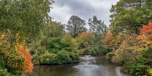 Shrewsbury - Landscapes