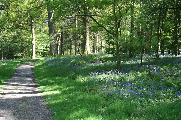 Holmewood Bothy Loweswater Cumbria National Trust Holmewood Petercostellophotography.com lake district Bothys Watergate Farm