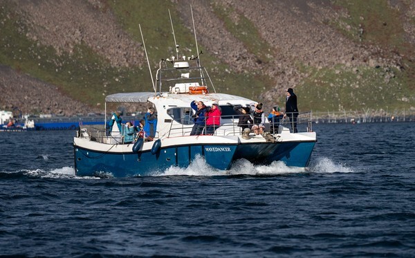 Isle of Skye - Landscapes