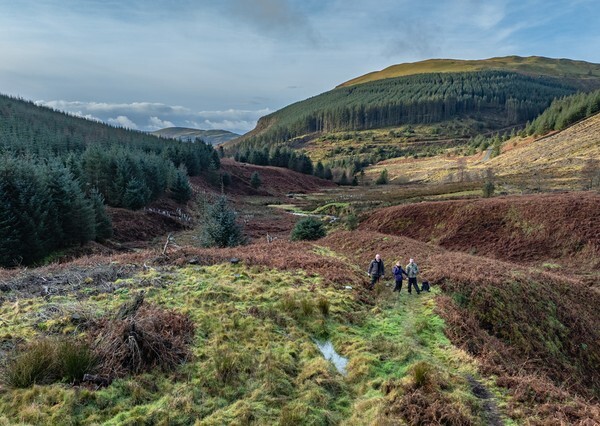 Loweswater - Landscapes