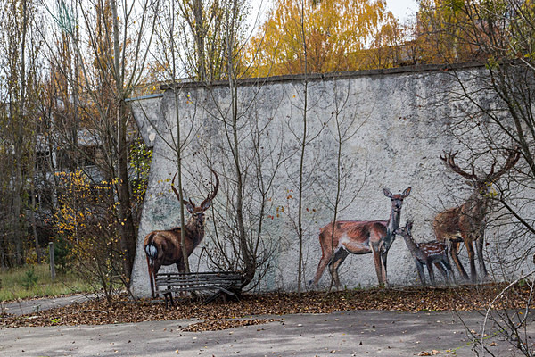 Chernobyl Pripyat Dugar Radar urbex Urban Exploration Ukraine Reactor no4  Chernobyl Nuclear Power Plant Pripyat Ghost Town Ferris Wheel Bumper Cars