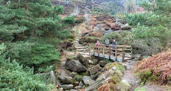 Ilkley Moor - Landscapes