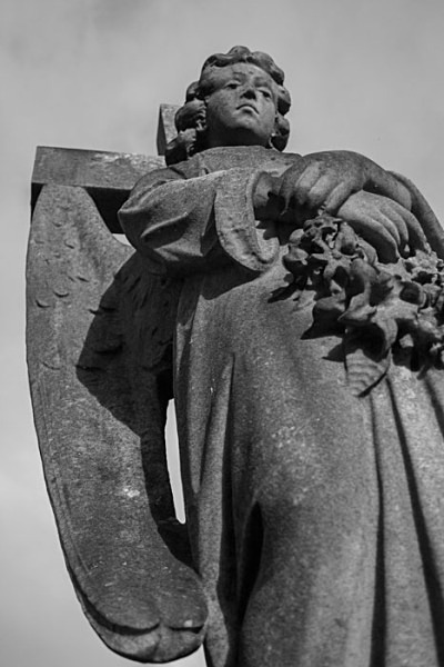 spooky angel - miscellaneous