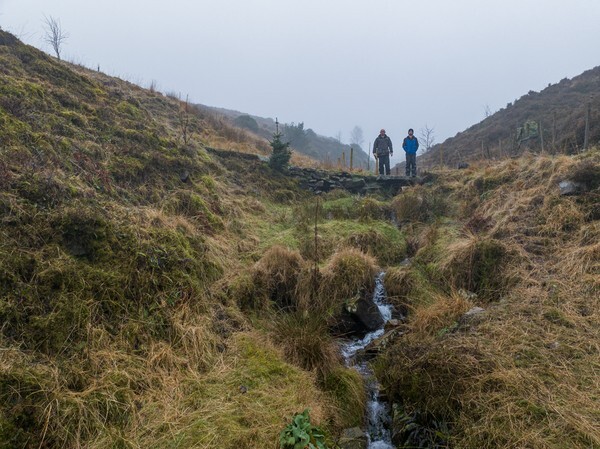 Carbrook - Landscapes
