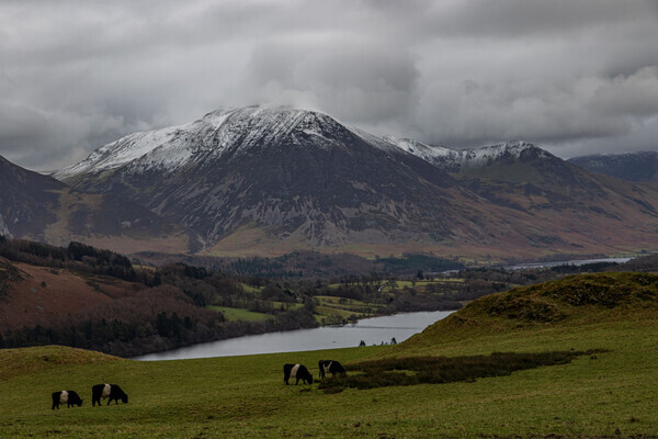 Loweswater Valley - Landscapes
