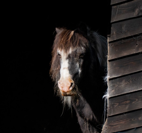 Forest of Bowland - miscellaneous