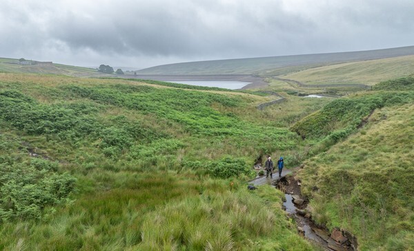 Woodhead - Landscapes