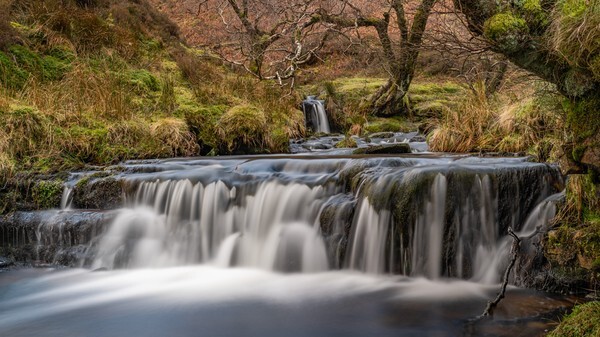 Snake Road - miscellaneous