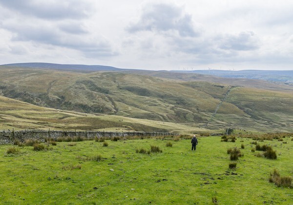 Brierfield - Landscapes