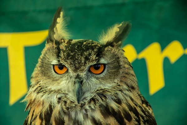 Hodder Valley Show - miscellaneous