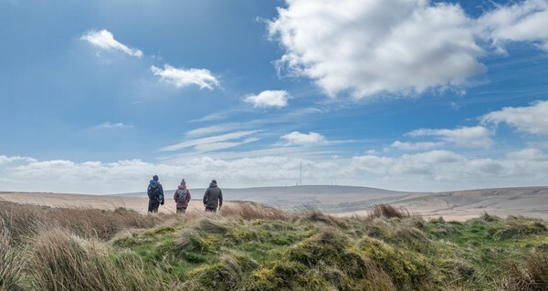 Belmont - Landscapes