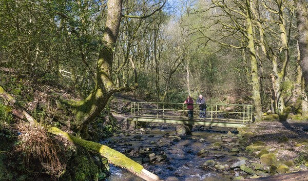 Ashworth Valley - Landscapes