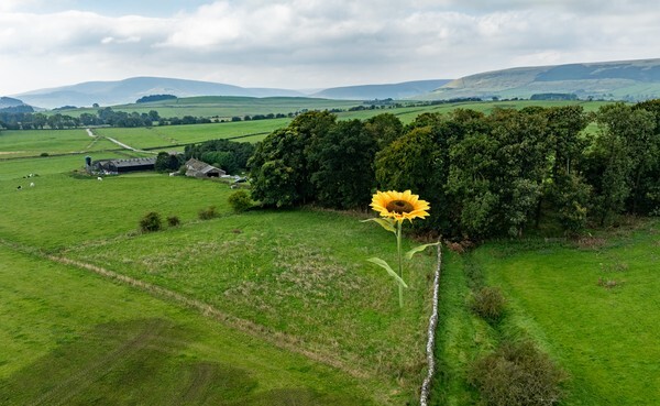 Forest of Bowland - miscellaneous