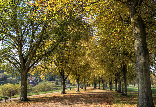 Autmn in the Quarry - A Walk Around Shrewsbury