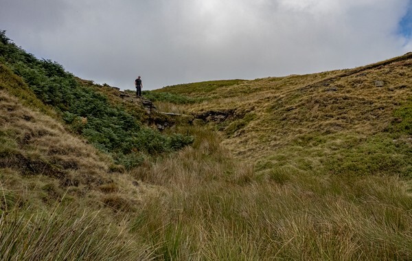 Foresyt of Bowland - Landscapes
