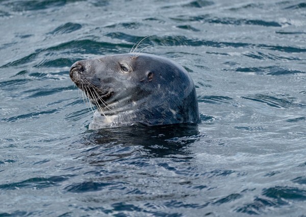 Berick Upon Tweed - Landscapes
