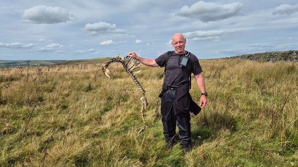 Ramsden - Landscapes