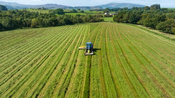 Last Cut - Landscapes