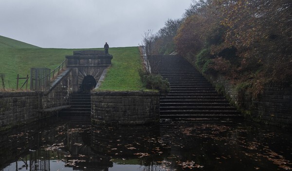 Belmont - Landscapes