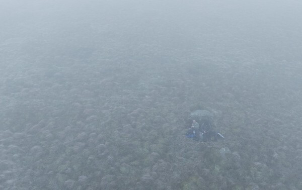 Snake Pass - Landscapes