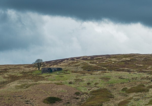 kirkthorpe Weir - Landscapes
