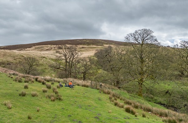 Dunsop Bridge - Landscapes