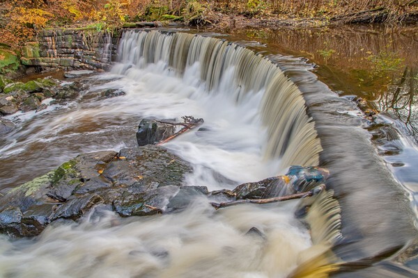 Pleasngton - miscellaneous