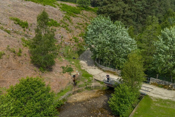 Langsett Moor - Landscapes