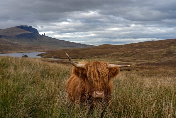 Isle of Skye - Landscapes