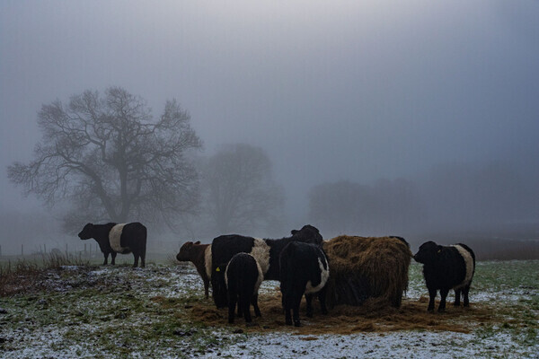 Loweswater - miscellaneous