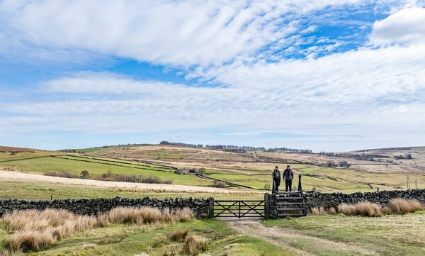 Snake Rd - Landscapes