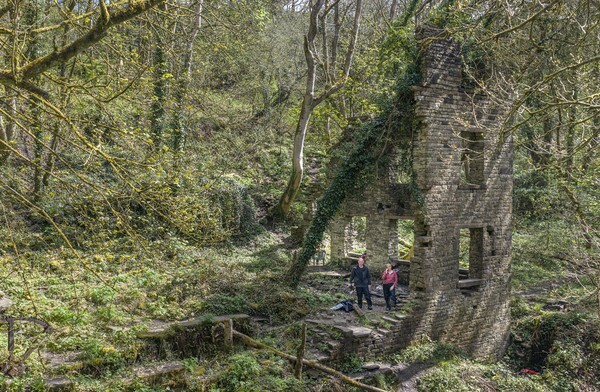 Ashworth Valley - Landscapes