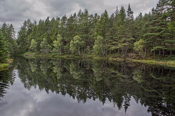 Loch Ness 2017 - Landscapes
